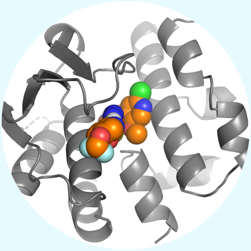QuantX pipeline image